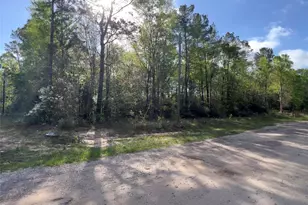 25468 Cambridge Blvd, New Caney, TX 77357 - Photo 5