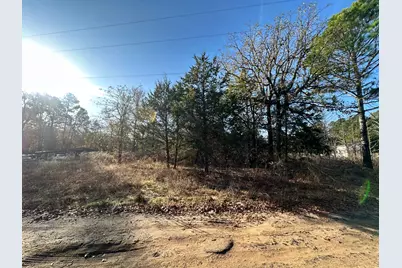 Lot 529 Hickory Lane, Mineola, TX 75773 - Photo 5