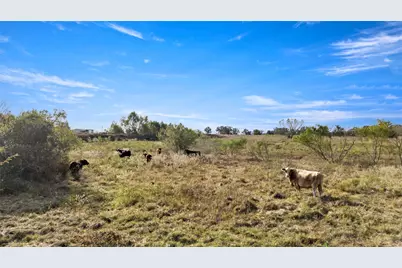 26983 County Road 115, Bedias, TX 77831 - Photo 41