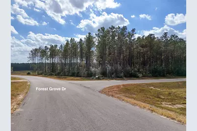 15531 Forest Grove Drive, Willis, TX 77378 - Photo 17