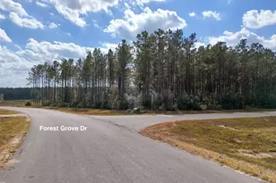 15531 Frst Grv Dr, Willis, TX 77378 - Photo 17