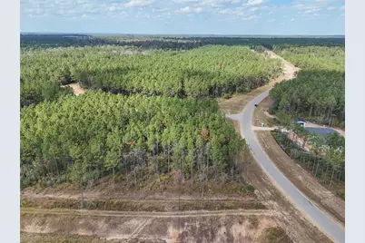 15531 Forest Grove Drive, Willis, TX 77378 - Photo 5