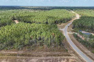 15531 Frst Grv Dr, Willis, TX 77378 - Photo 5