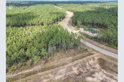 15531 Forest Grove Drive, Willis, TX 77378 - Photo 7