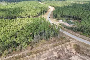 15531 Frst Grv Dr, Willis, TX 77378 - Photo 7