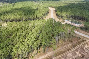 15531 Frst Grv Dr, Willis, TX 77378 - Photo 9