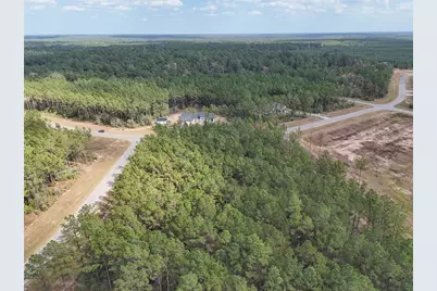 15531 Forest Grove Drive, Willis, TX 77378 - Photo 13