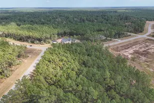 15531 Frst Grv Dr, Willis, TX 77378 - Photo 13