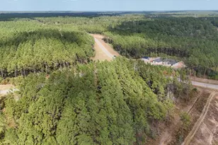 15531 Frst Grv Dr, Willis, TX 77378 - Photo 11