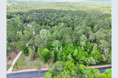 19300 Mount Pleasant Road, Montgomery, TX 77356 - Photo 7