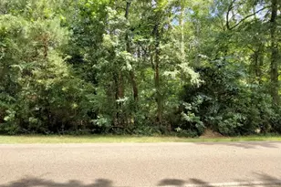 19300 Mount Pleasant Rd, Montgomery, TX 77356 - Photo 3