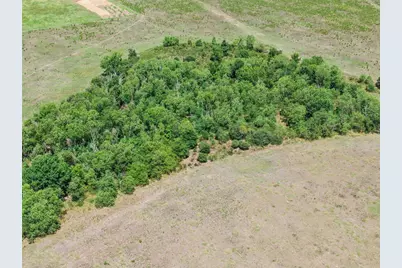 21300 Fm 362 Road, Waller, TX 77484 - Photo 9