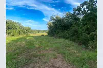 Tract 7 & 8 County Road 426, Marquez, TX 77865 - Photo 11