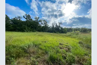 Tract 7 & 8 County Road 426, Marquez, TX 77865 - Photo 1