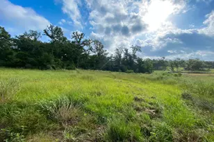 Tract 7 & 8 County Road 426, Marquez, TX 77865 - Photo 1