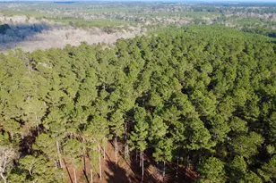 1497 County Rd 1170, Kennard, TX 75847 - Photo 1