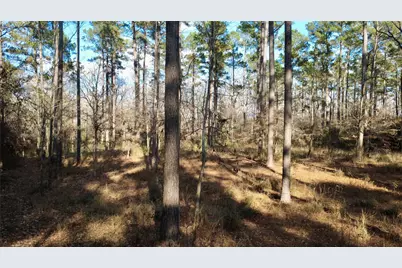 1497 County Road 1170, Kennard, TX 75847 - Photo 3