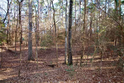 1497 County Road 1170, Kennard, TX 75847 - Photo 21