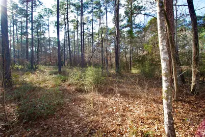 1497 County Road 1170, Kennard, TX 75847 - Photo 15