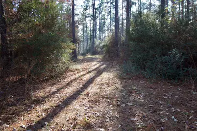 1497 County Road 1170, Kennard, TX 75847 - Photo 27