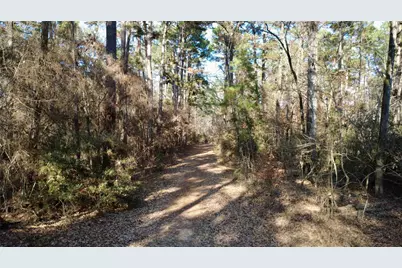 1497 County Road 1170, Kennard, TX 75847 - Photo 5