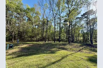 Tbd Leaning Oak Drive, Point Blank, TX 77364 - Photo 5