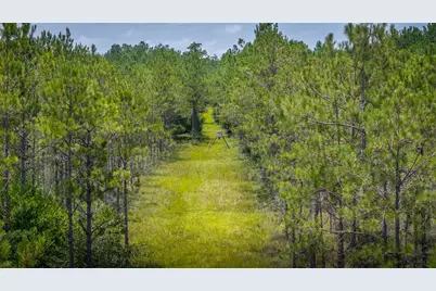 14912 N Highway 69 N, Village Mills, TX 77663 - Photo 7