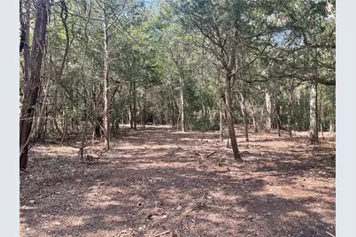 2805 Deer Road, Brenham, TX 77833 - Photo 3