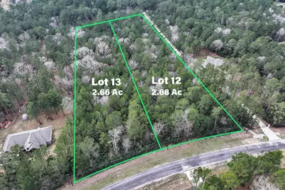 Lot 13 Chisholm Trail, Huntsville, TX 77340 - Photo 3