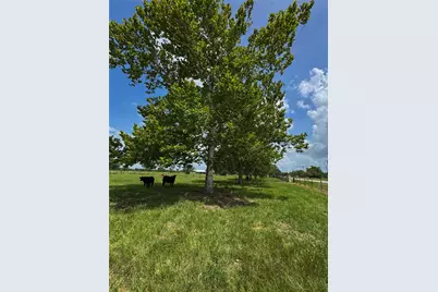 5903 Foster School Road, Needville, TX 77461 - Photo 21
