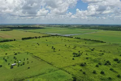 Tract 1 County Road 8, Guy, TX 77444 - Photo 5