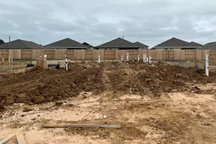 29214 Dandelion Sky Dr, Waller, TX 77484 - Photo 37