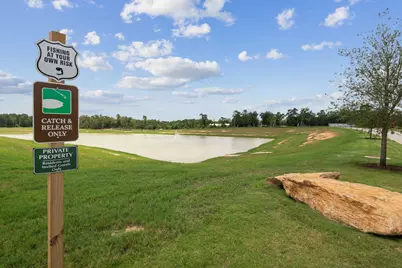 15403 Maple Terrace Drive, Conroe, TX 77303 - Photo 23