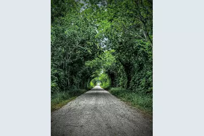 003 Old Phillipsburg Road, Brenham, TX 77833 - Photo 5