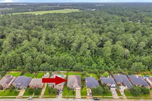 24203 Rocky Brook Falls, Tomball, TX 77375 - Photo 27