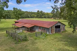 249 CR 350, Broaddus, TX 75929 - Photo 41