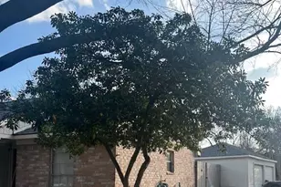 2102 Round Lake Dr, Houston, TX 77077 - Photo 7