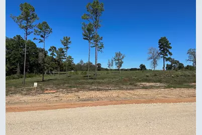123 Anna Grace, Livingston, TX 77351 - Photo 11