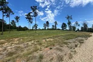 123 Anna Grace, Livingston, TX 77351 - Photo 1