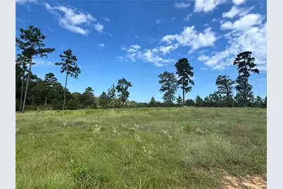 123 Anna Grace, Livingston, TX 77351 - Photo 17