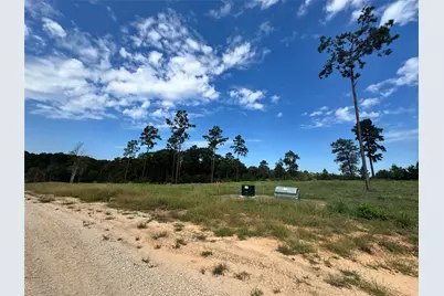 123 Anna Grace, Livingston, TX 77351 - Photo 13
