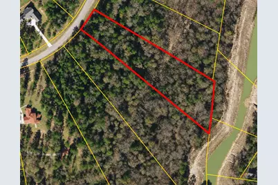 4A-11-55 Sundog Road, Huntsville, TX 77340 - Photo 5