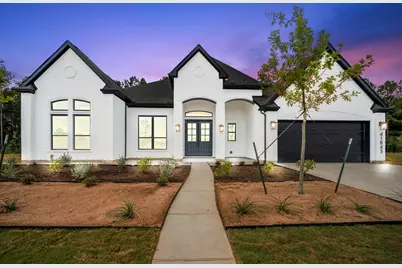 41843 Wendele Way, Montgomery, TX 77316 - Photo 1