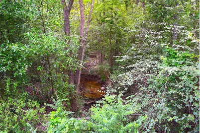 4414 Shady Lane, Huntsville, TX 77320 - Photo 9