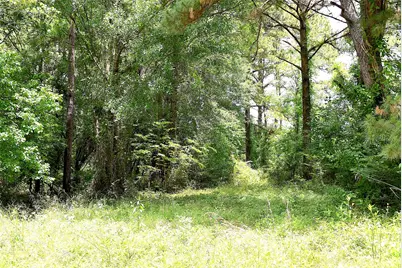 4414 Shady Lane, Huntsville, TX 77320 - Photo 3