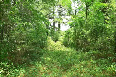 4414 Shady Lane, Huntsville, TX 77320 - Photo 5