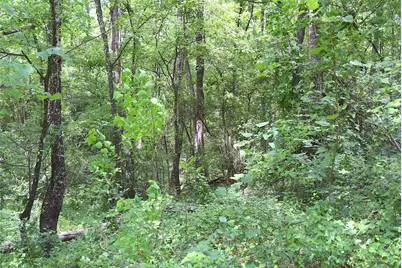4414 Shady Lane, Huntsville, TX 77320 - Photo 7
