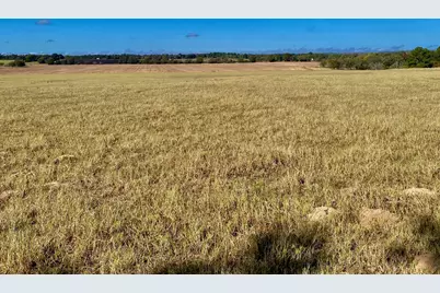 485 Private Road 6142, Grapeland, TX 75844 - Photo 29