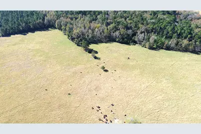 485 Private Road 6142, Grapeland, TX 75844 - Photo 11