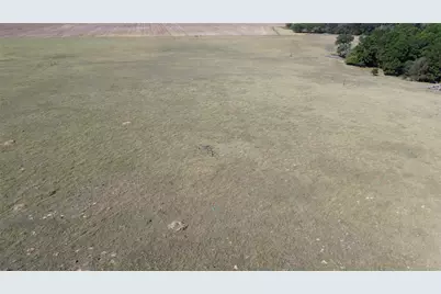 485 Private Road 6142, Grapeland, TX 75844 - Photo 17